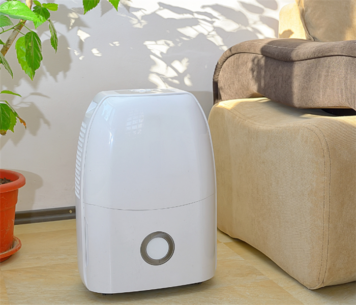 stand alone dehumidifier in Metairie home