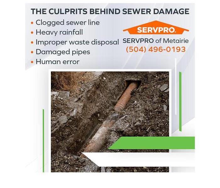 Damaged sewer line