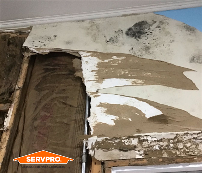 Peeling drywall that revealed mold behind the wall
